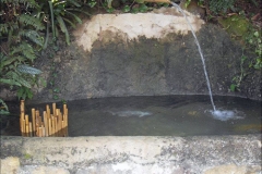 Arranjo em bambu para lago de peixes - Fazenda Bambu Ambiental.